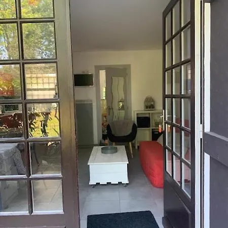 Lumineux Avec Terrasse Arcachon